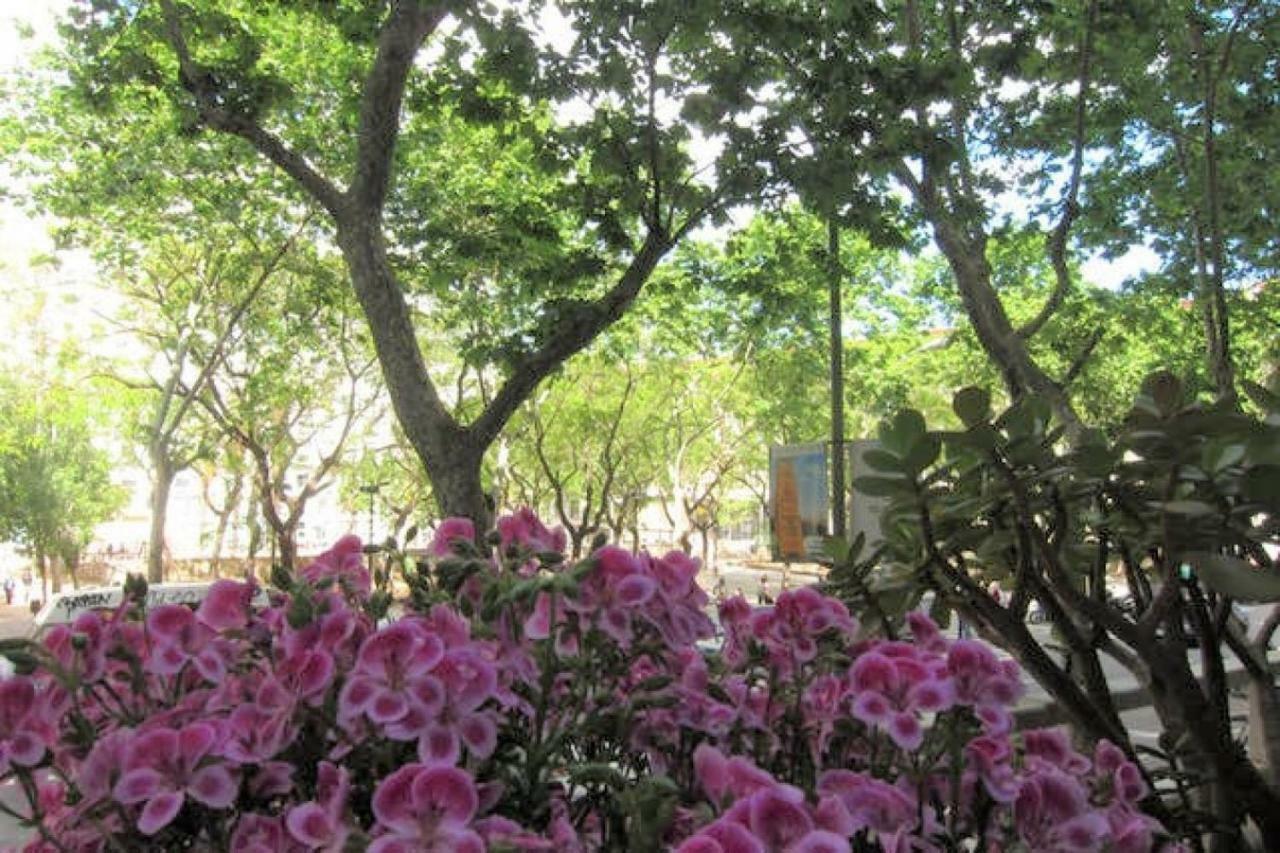 Sant Antoni Lovely Apartment Barcelona Bagian luar foto